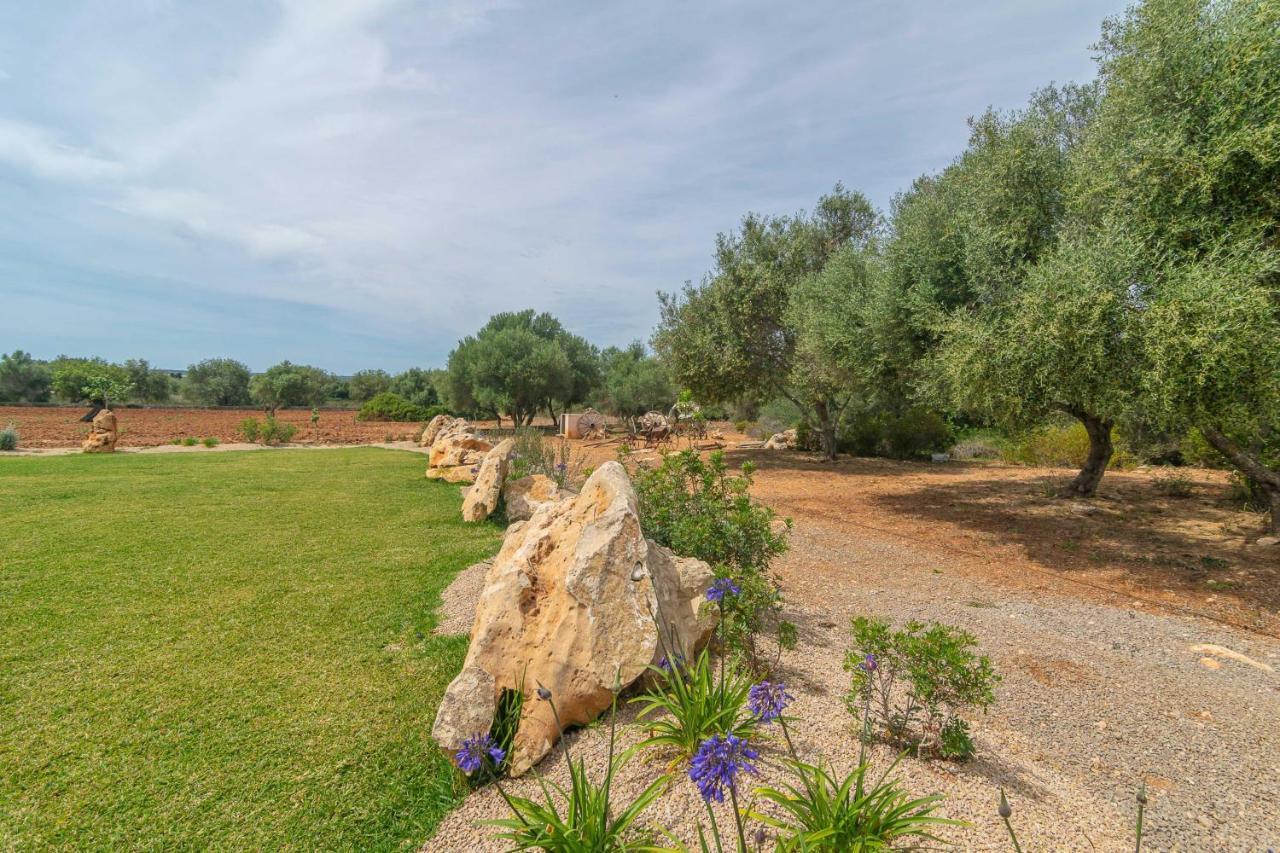 Maimo Nou Villa